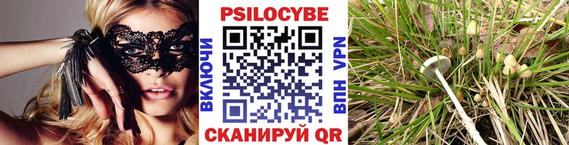 Псилоцибиновые грибы MAGIC MUSHROOMS  Купить где  Санкт-Петербург 